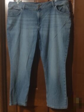 Women's Lee Plus Blue Straight-Leg Jeans Size 22W Petite